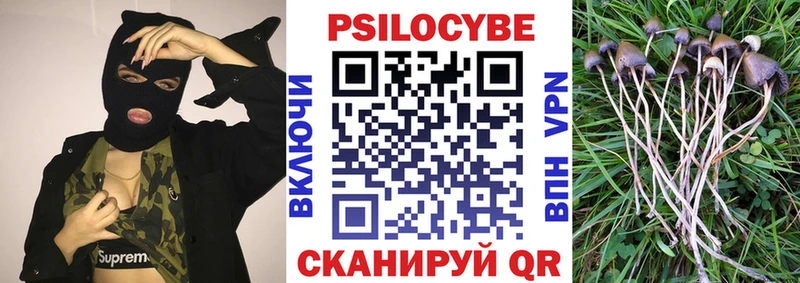 магазин продажи наркотиков  Сердобск  Псилоцибиновые грибы прущие грибы 